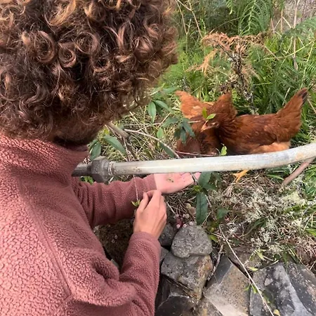 Shiva Kali Temple Hostel